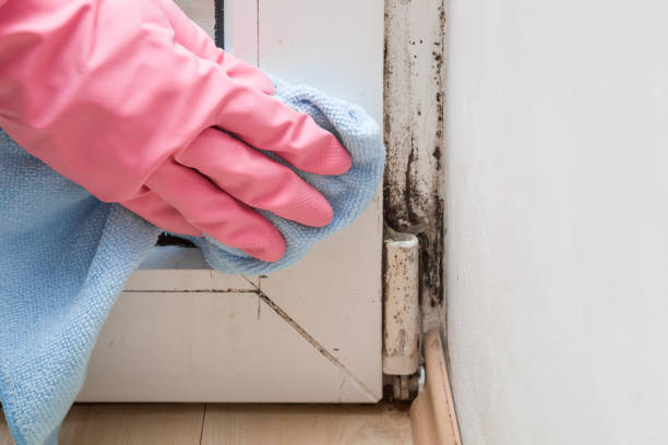 Asbestos and Lead Testing During Mold Inspection